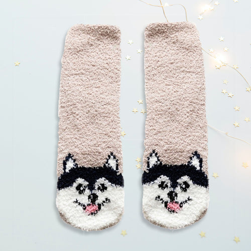 Chaussette pilou pilou chien